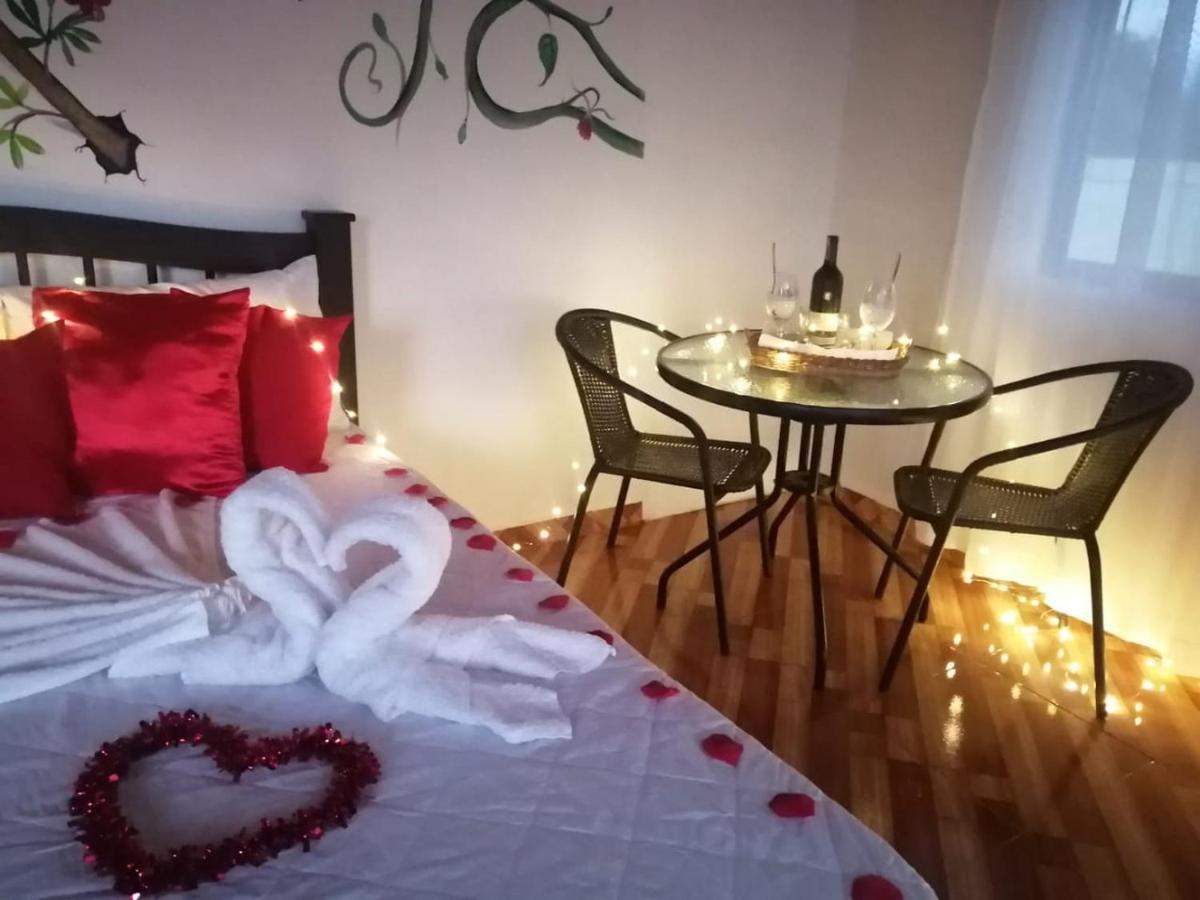 Finca Turistica Santa Clara Hostel Calarca Ngoại thất bức ảnh