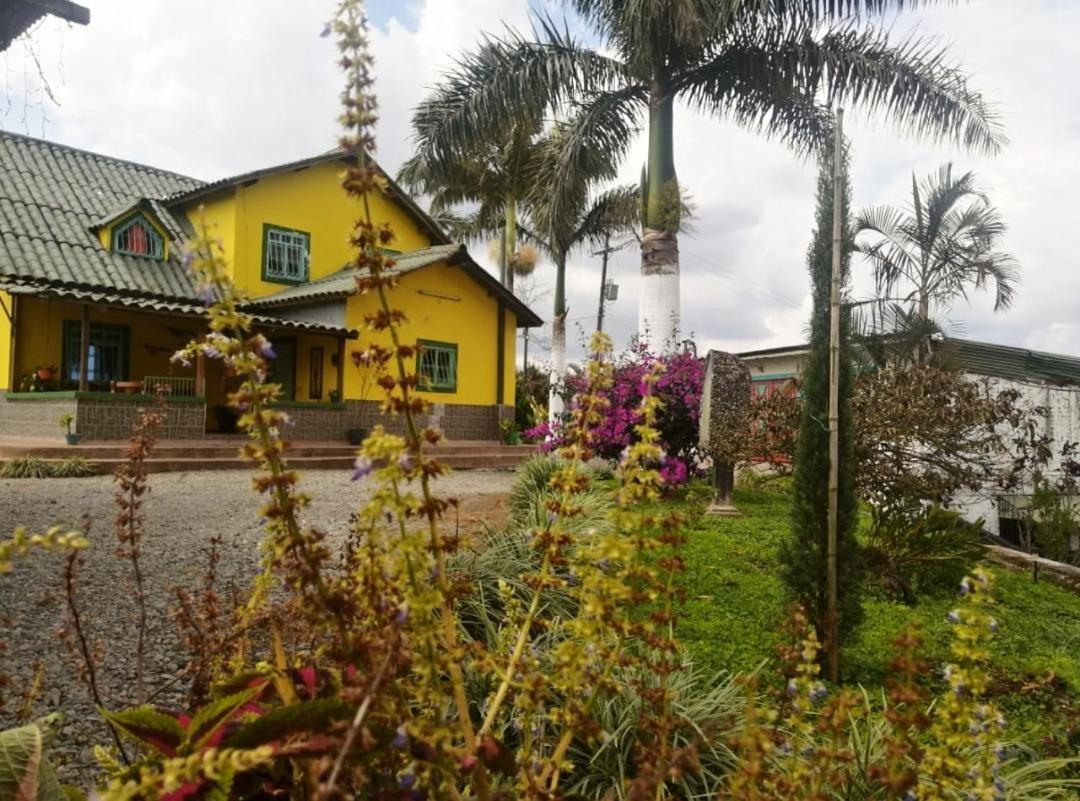 Finca Turistica Santa Clara Hostel Calarca Ngoại thất bức ảnh