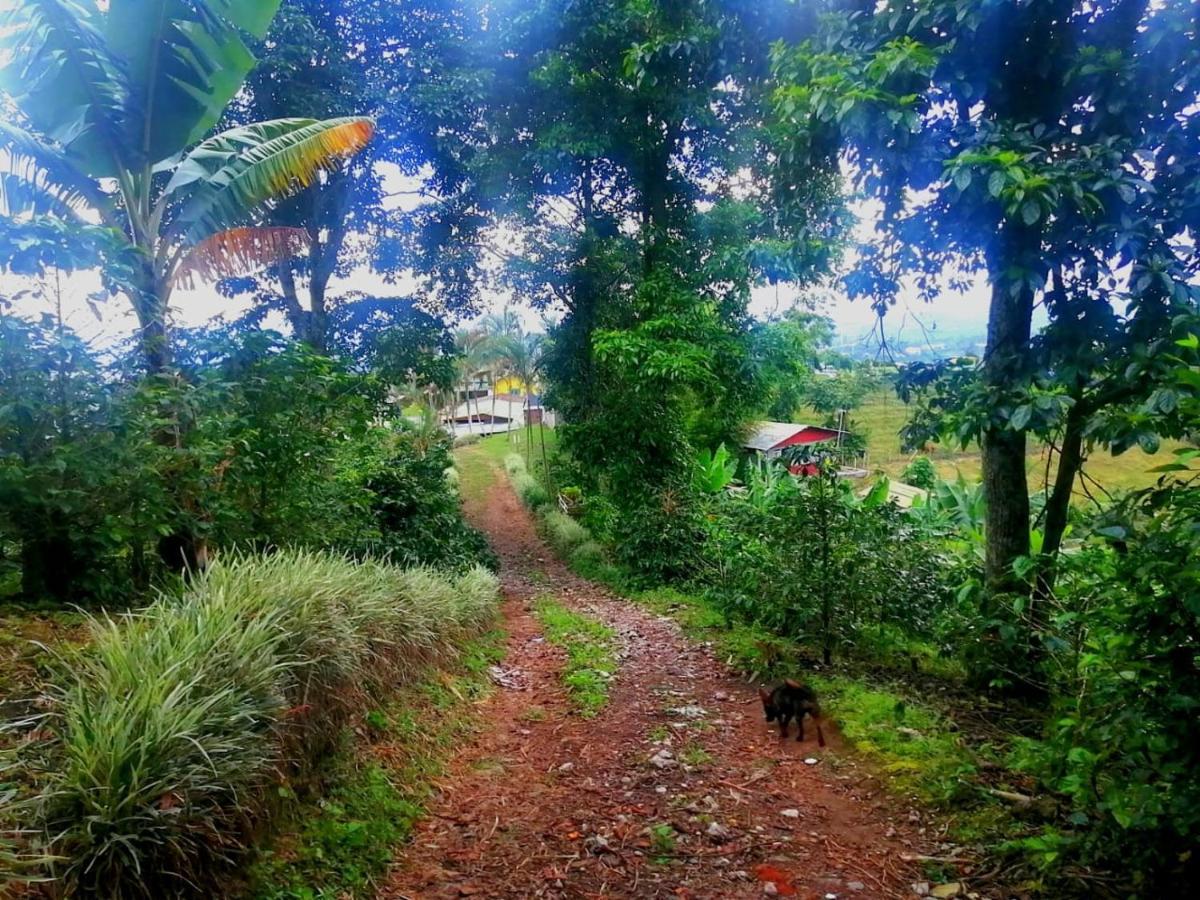 Finca Turistica Santa Clara Hostel Calarca Ngoại thất bức ảnh
