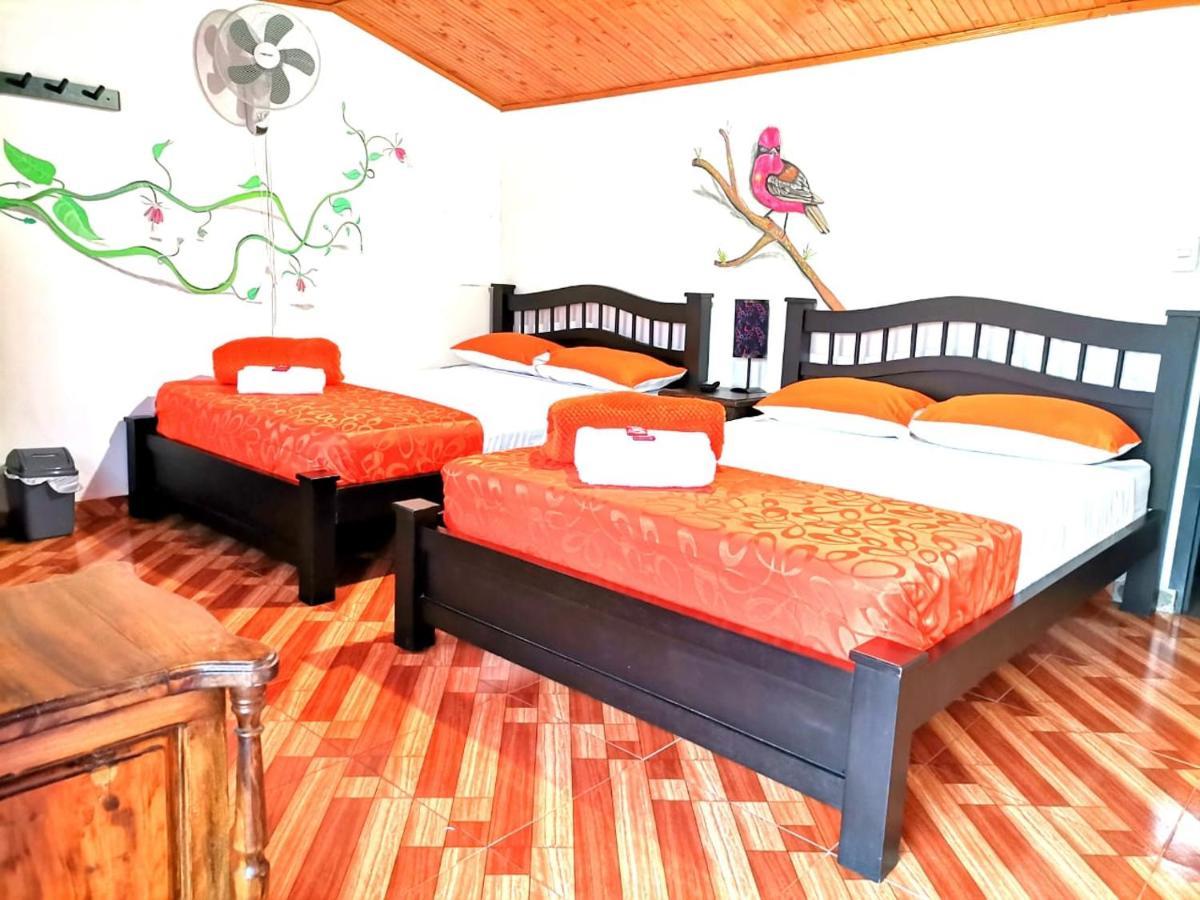 Finca Turistica Santa Clara Hostel Calarca Ngoại thất bức ảnh